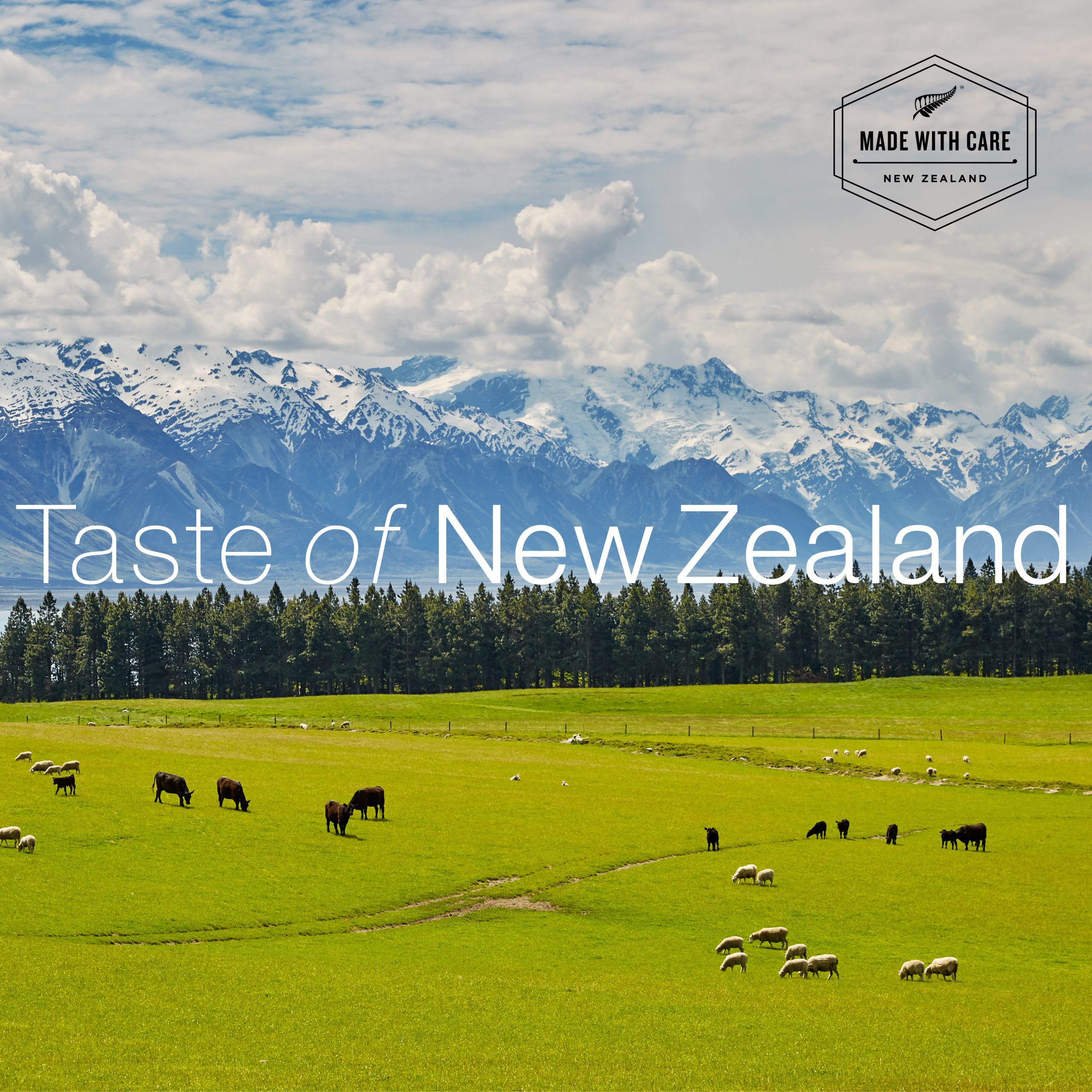 Taste of New Zealandのサムネイル